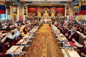 Reflections on A Year of Growth and Flourishing – 2025 Year of the Wood Snake