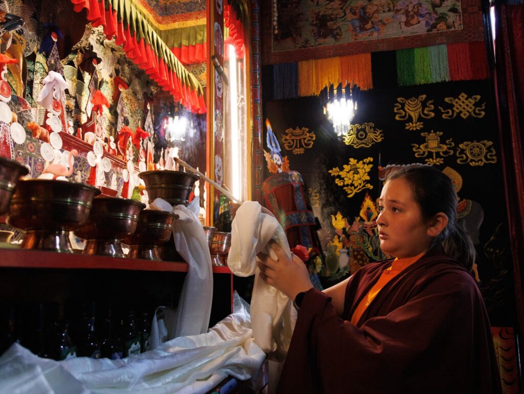 WhatsApp Image 2026-04-03 at 10.55.17 PM (1)